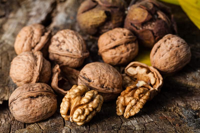 تصویر 3 از گردو تویسرکان همدان با پوست کاغذی و طعمی استثنایی